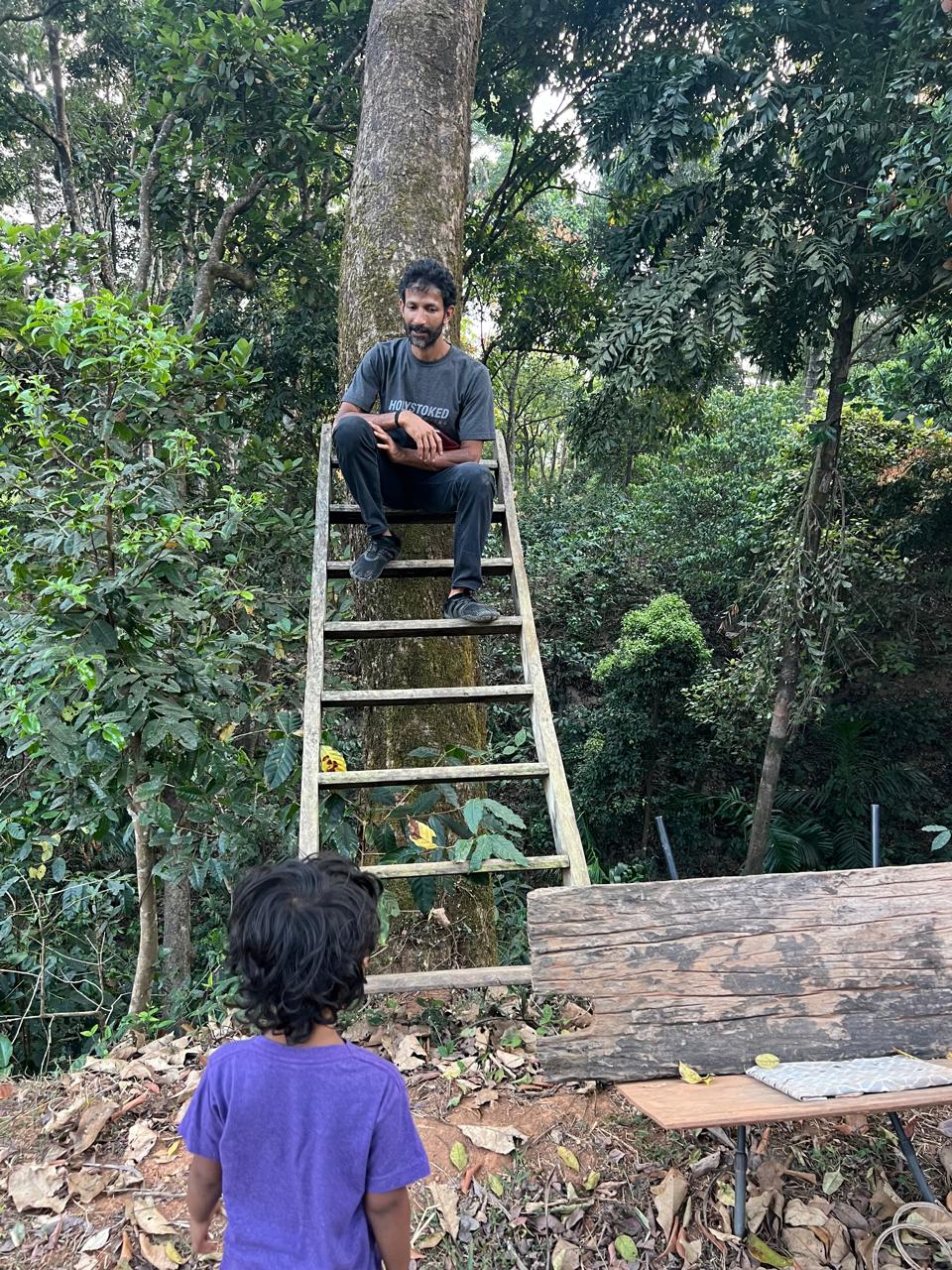 Soms sitting on a wooden ladder against a tree on the farm, a child looking up